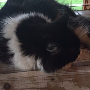 Meet your Posher, Raymond